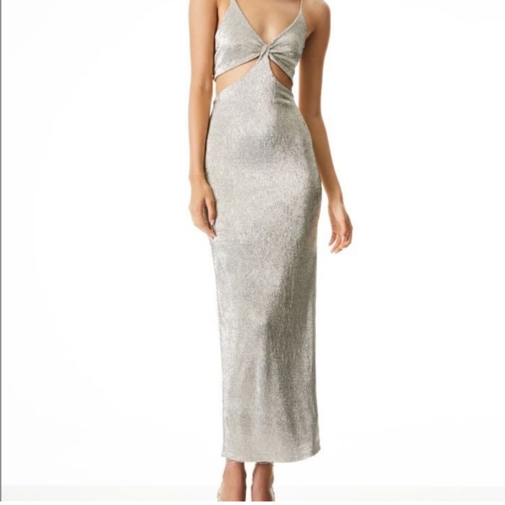 Alice and Olivia Havana dress